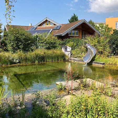 Apartmán Gut Muellerleile Gengenbach Exteriér fotografie
