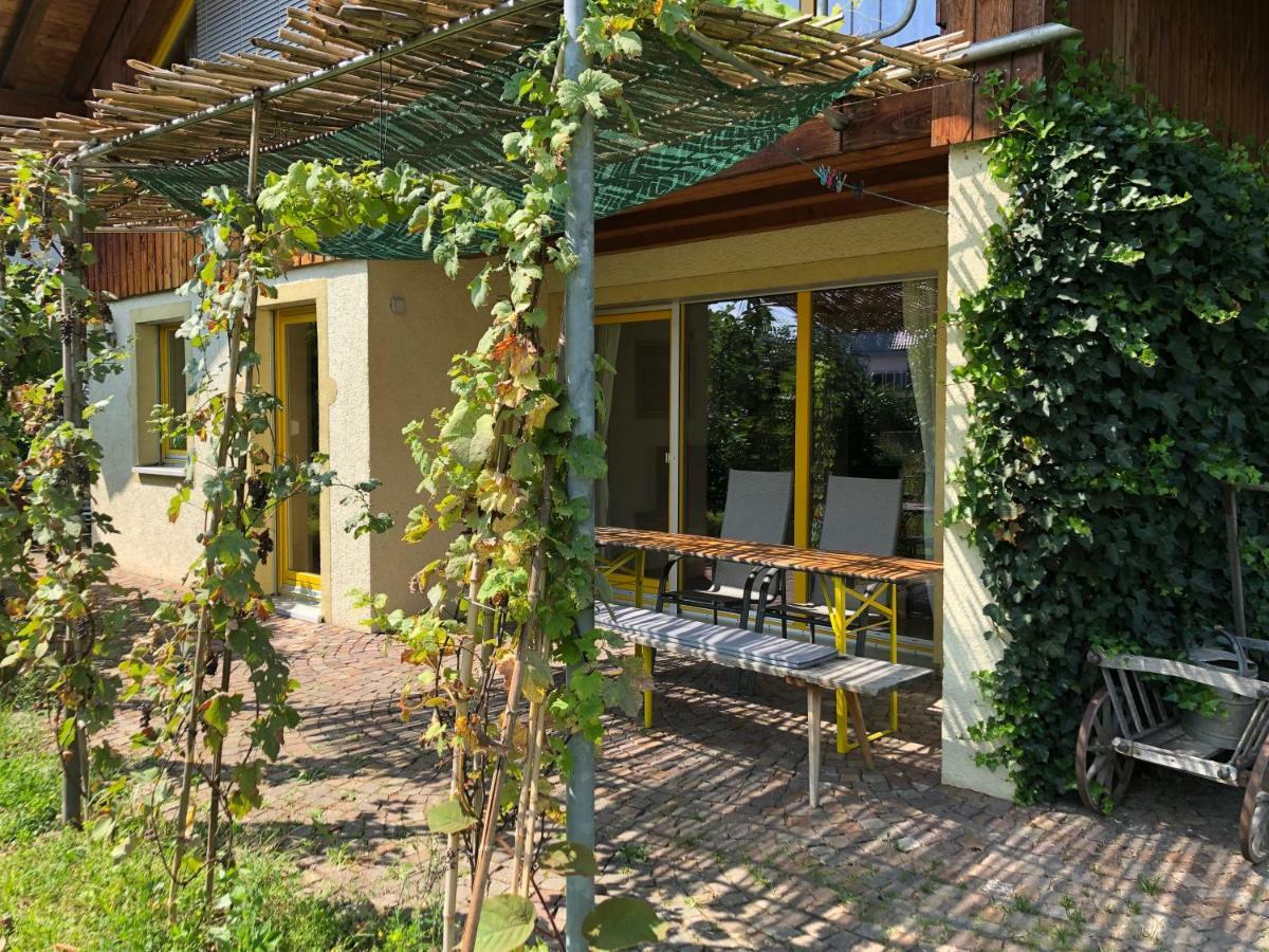 Apartmán Gut Muellerleile Gengenbach Exteriér fotografie